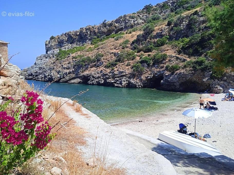 Παραθαλασσιο Σπιτι Στην Εξοχη Villa Tsakei Kültér fotó
