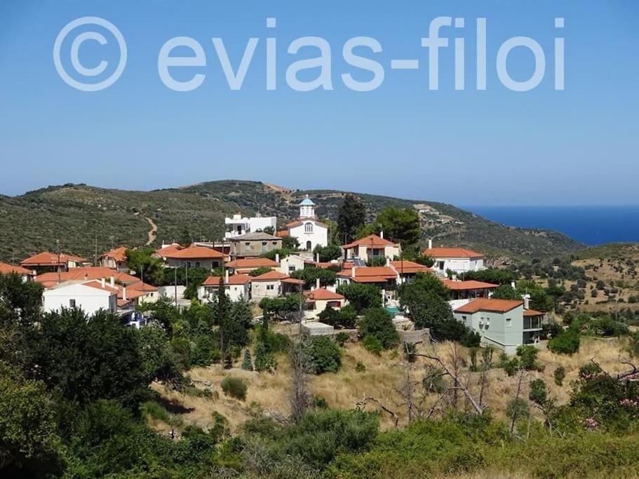 Παραθαλασσιο Σπιτι Στην Εξοχη Villa Tsakei Kültér fotó