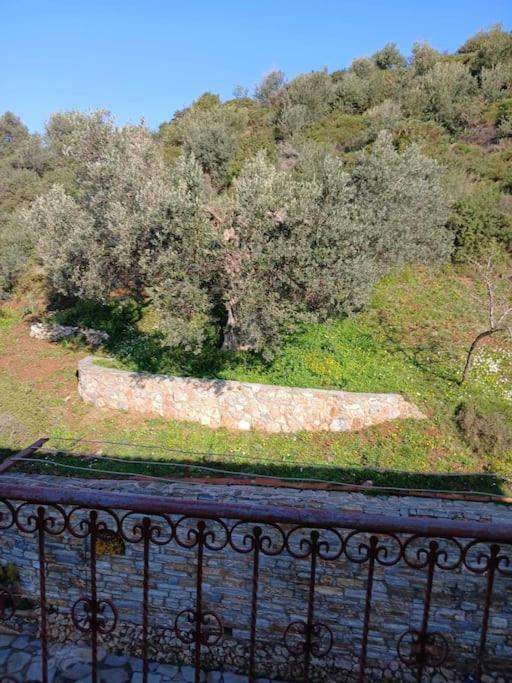 Παραθαλασσιο Σπιτι Στην Εξοχη Villa Tsakei Kültér fotó